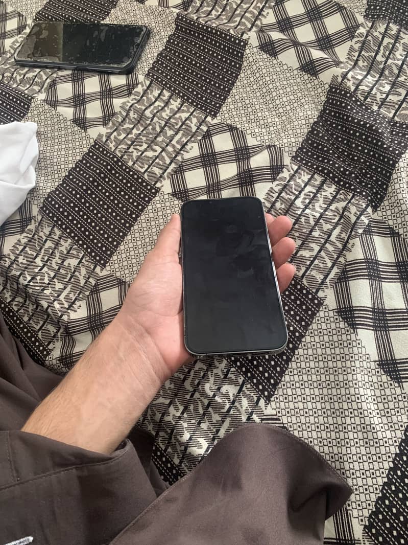 Apple iPhone 13 Pro Max 1