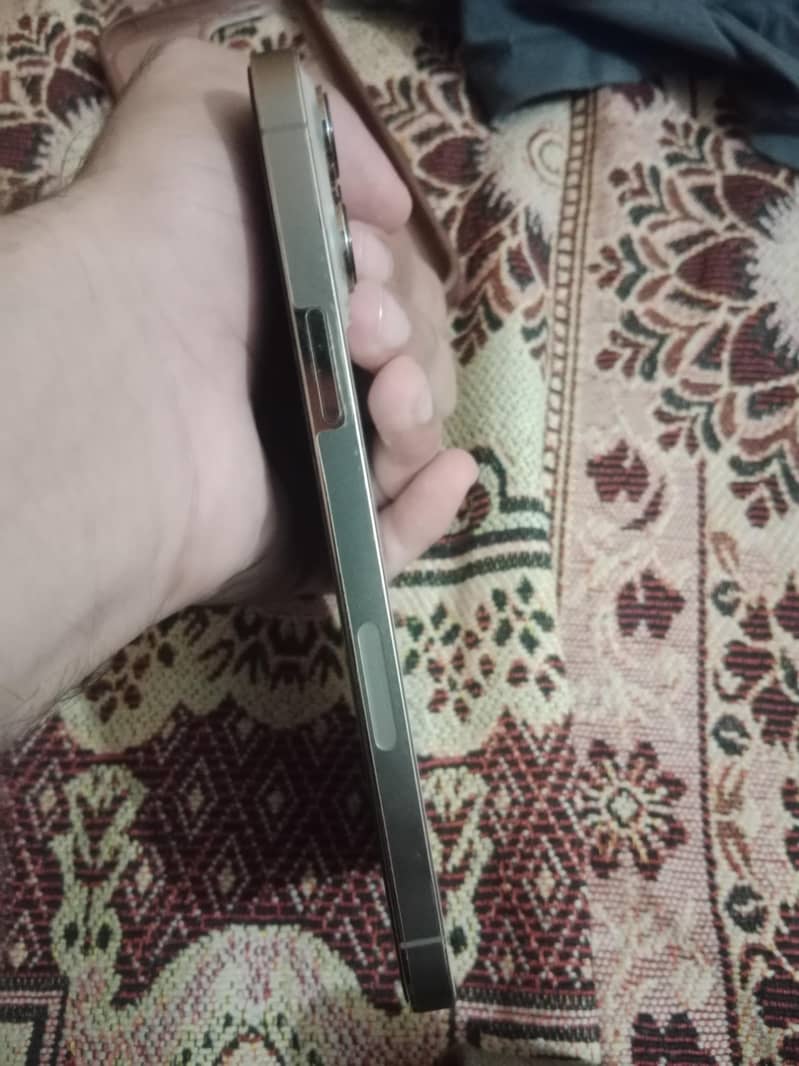 Apple iPhone 13 Pro Max 1
