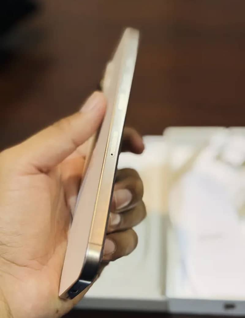 Apple iPhone 16 Pro Max 3