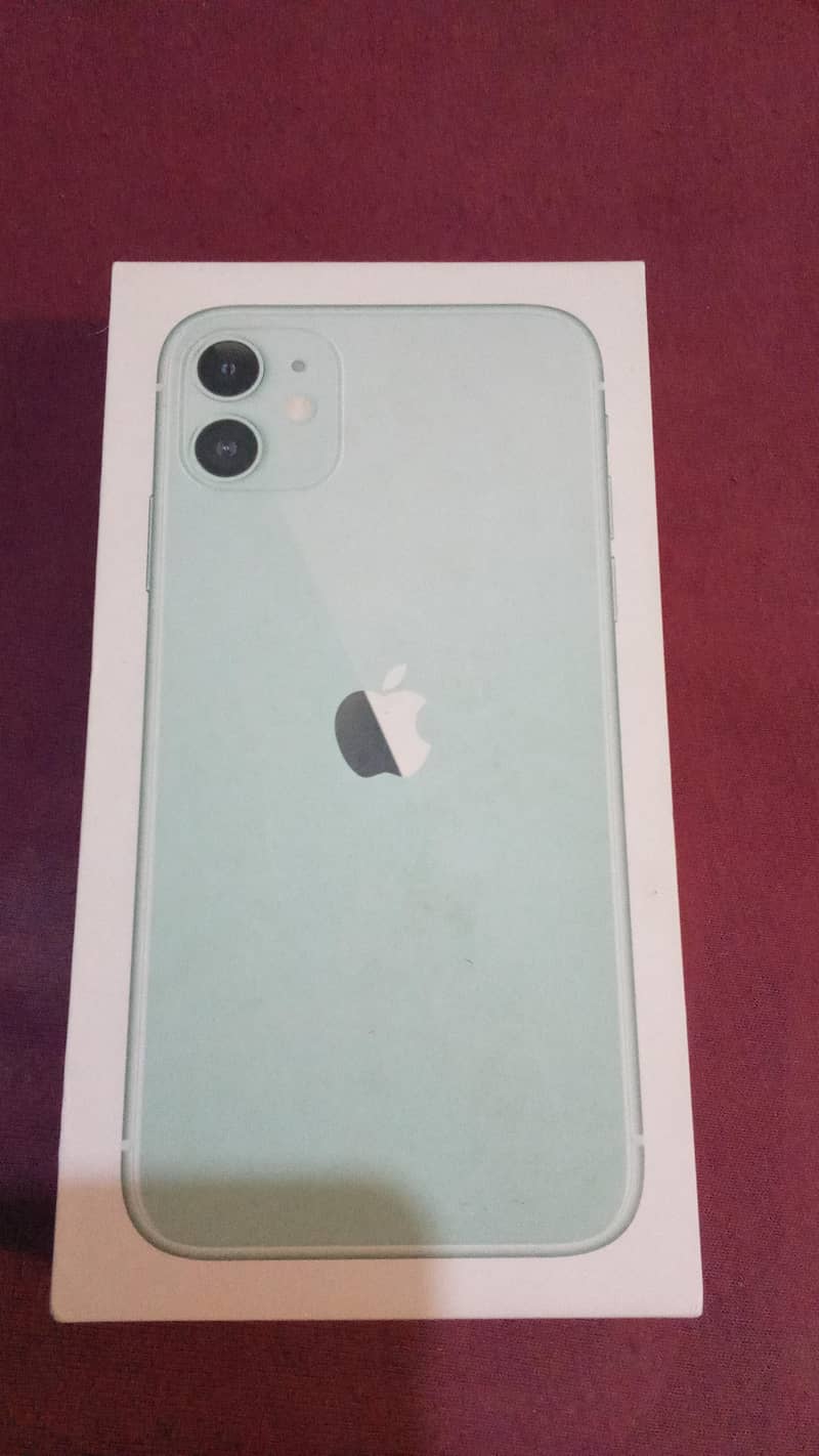 Apple iPhone 11 0