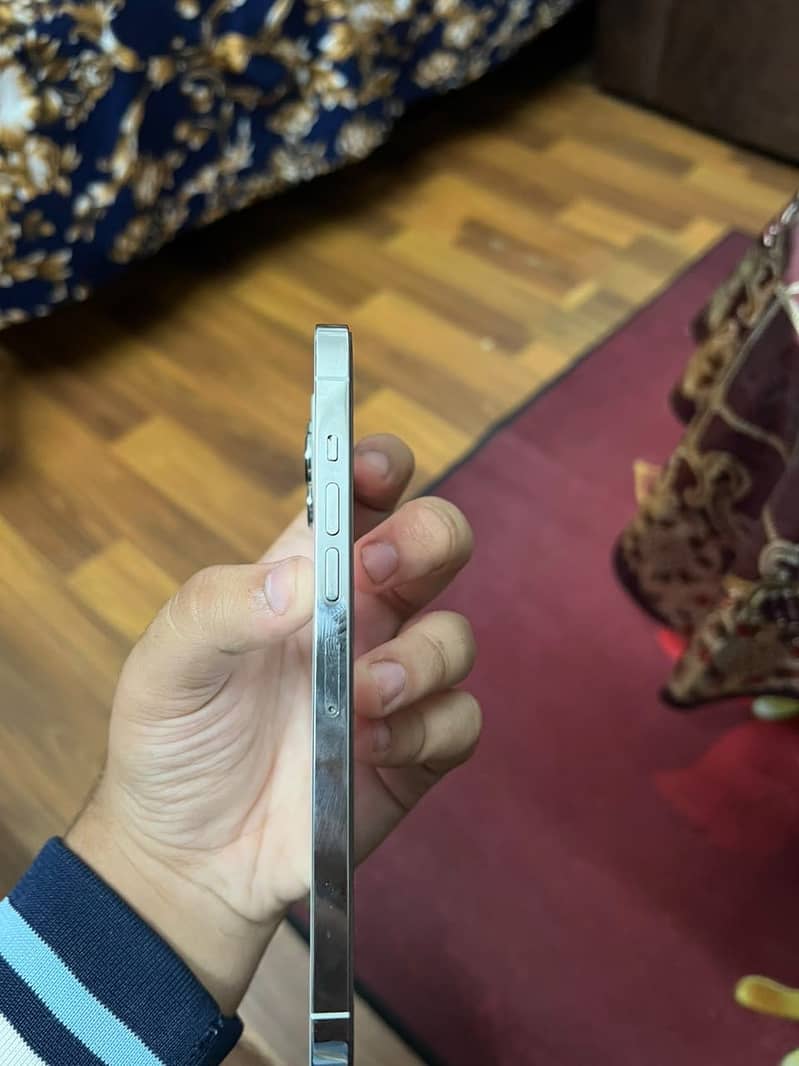 Apple iPhone 13 Pro Max 1