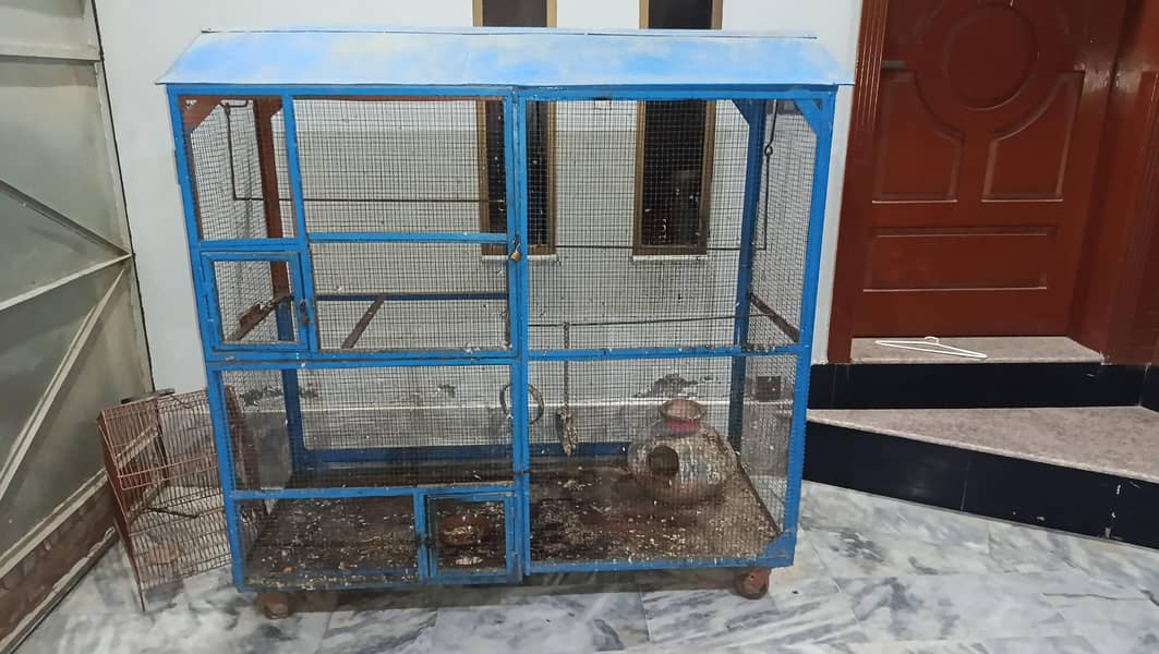 bird cages 0