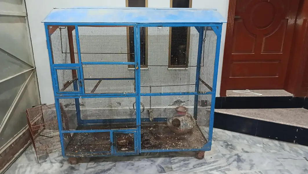 bird cages