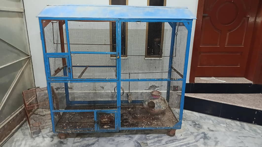 bird cages 1