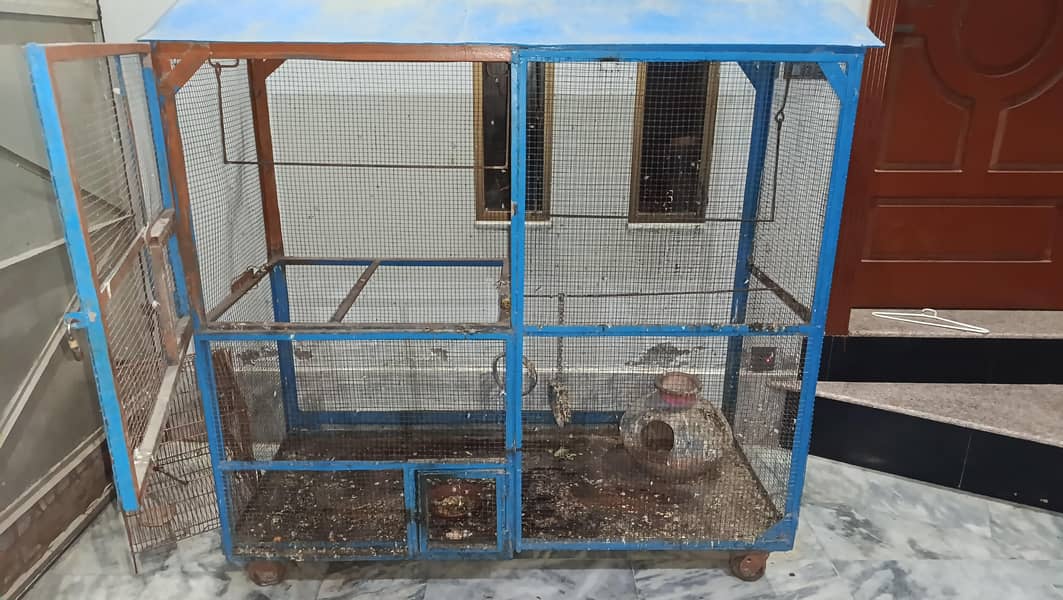 bird cages 2