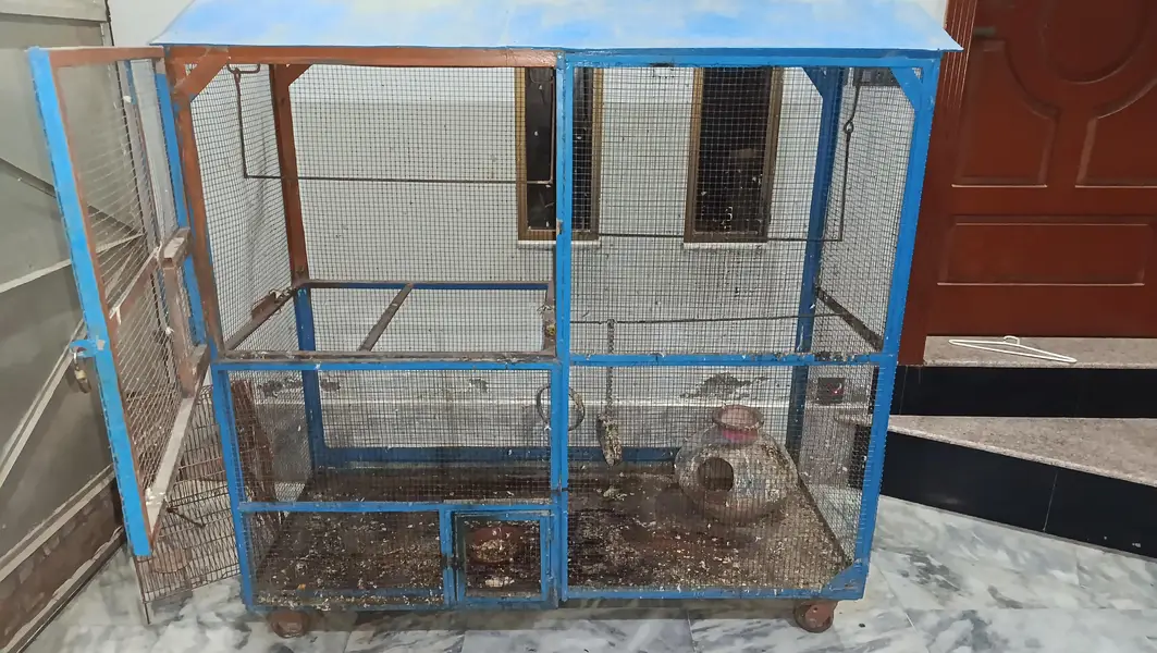 bird cages — photo 3