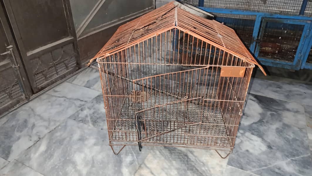 bird cages 4