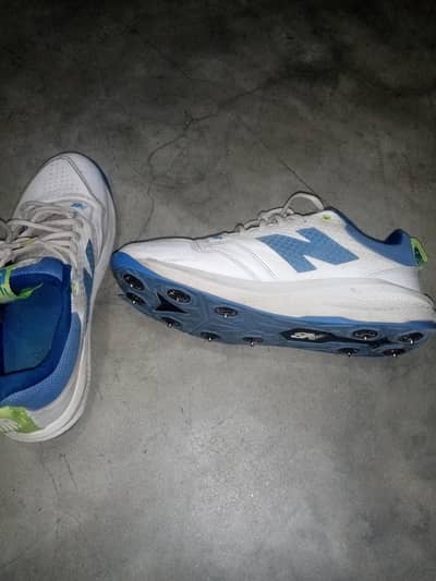 NB spikes cricket shoes