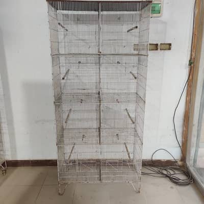 Birds Cage