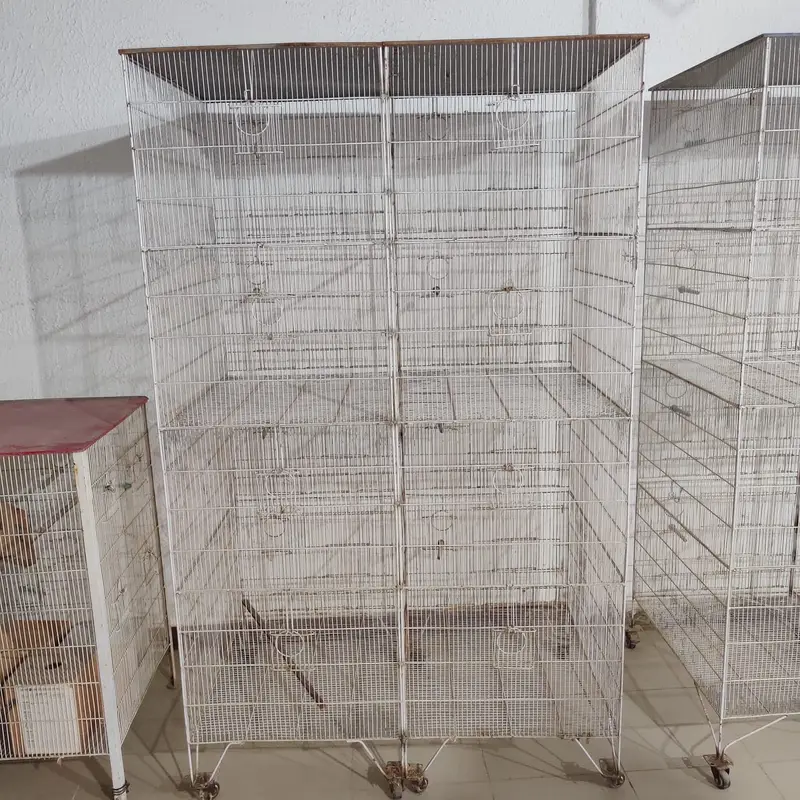 Birds Cage — photo 2