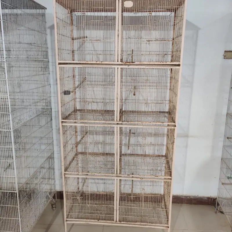 Birds Cage — photo 3