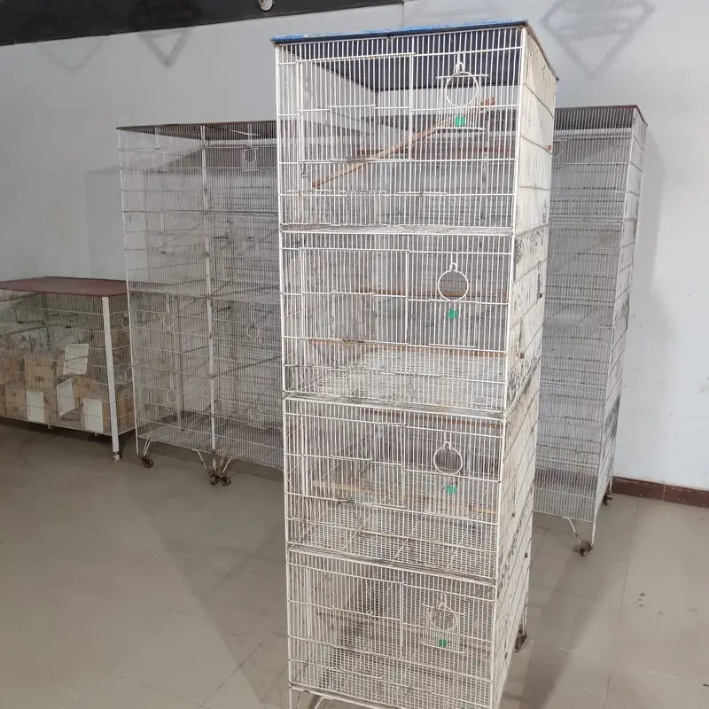 Birds Cage — photo 4