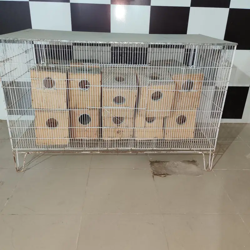 Birds Cage — photo 6