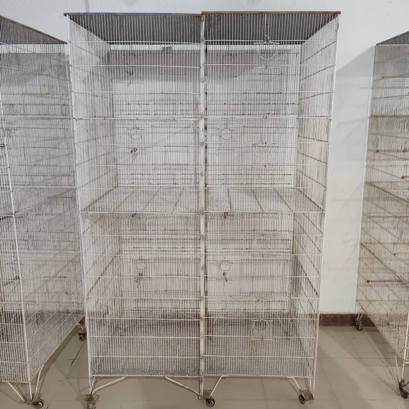 Birds Cage — photo 7