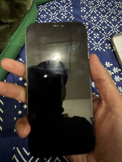 Apple iPhone 12 Pro