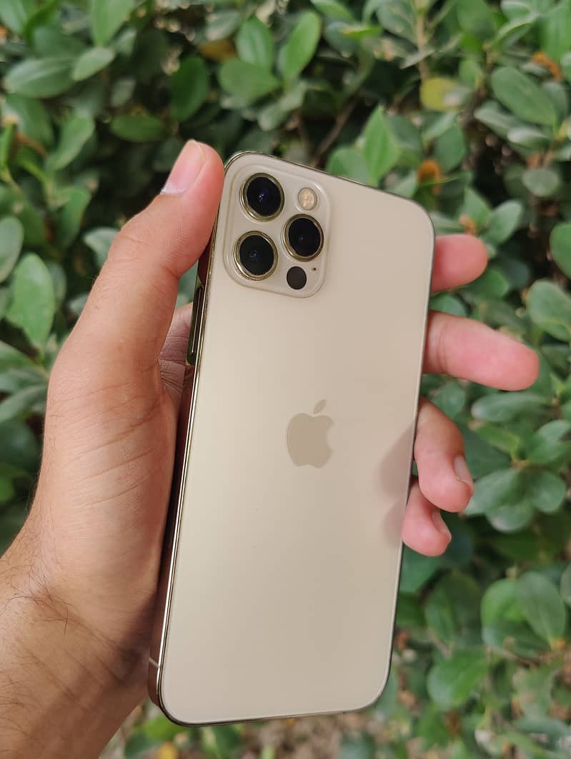 iPhone 12 pro 1