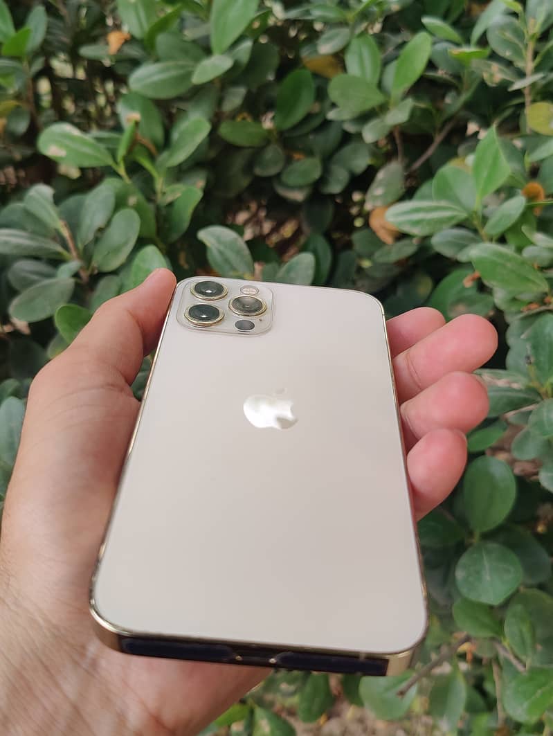 iPhone 12 pro 4