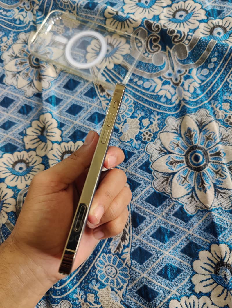 iPhone 12 pro 6