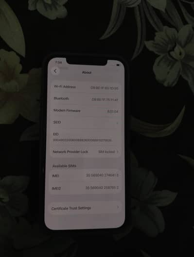 Apple iPhone 12