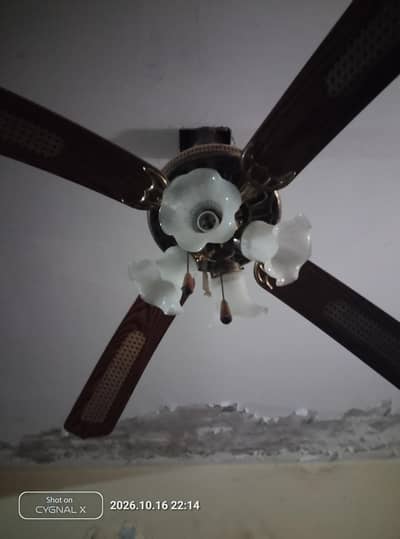 decorations fan