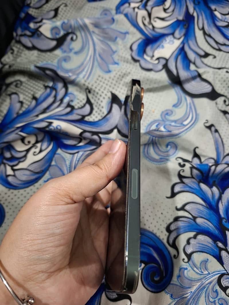 Apple iPhone 13 Pro Max 4