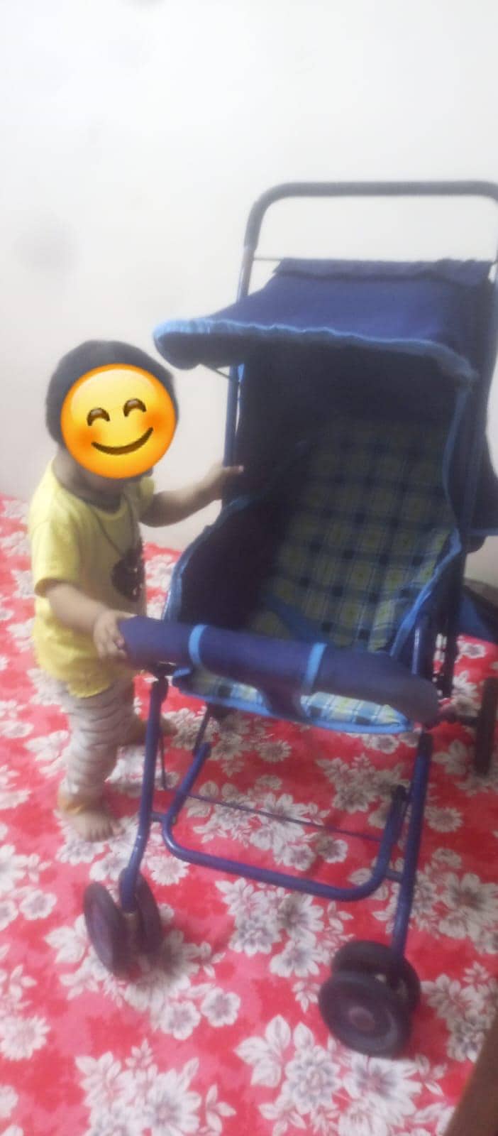 Big Size Stroller 2