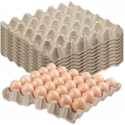 Egg Tray