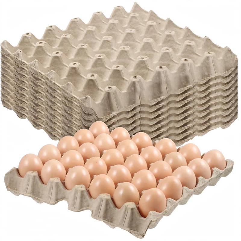 Egg Tray 0