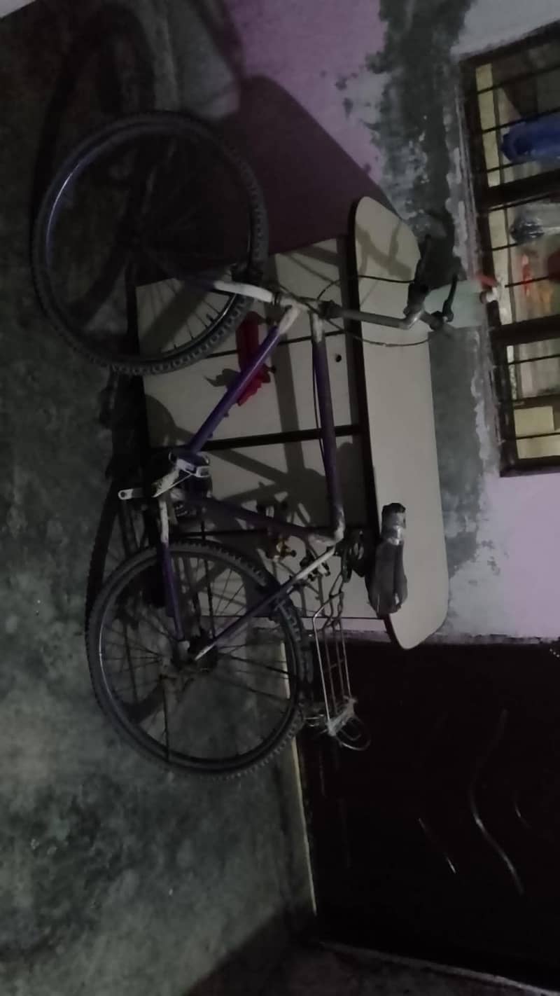 phonix sycle 1