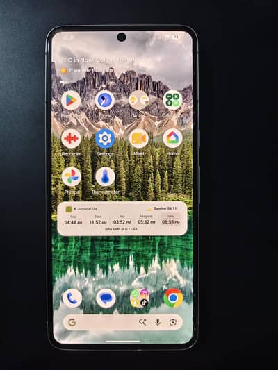 Google Pixel 8 Pro 256 gb