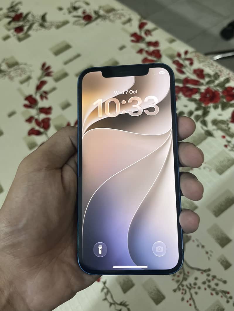 iPhone 12 0