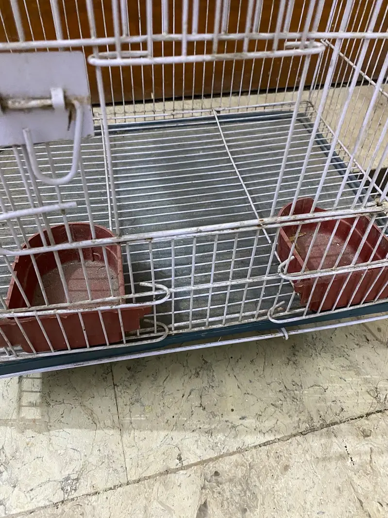 New or heavy cage available in lahore lDA