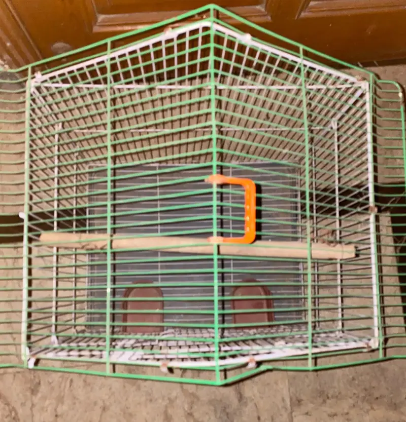 New or heavy cage available in lahore lDA — photo 3