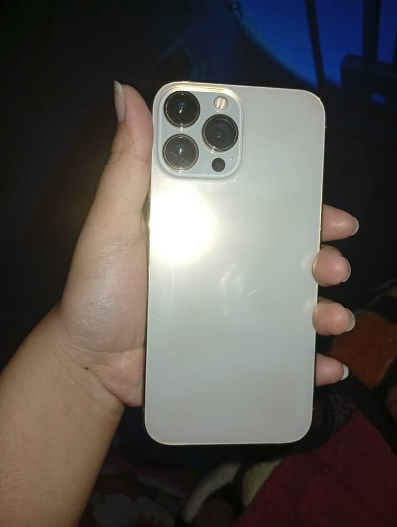 Apple iPhone 13 Pro Max 1