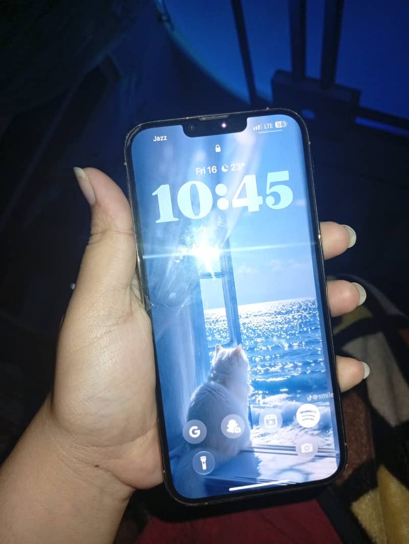 Apple iPhone 13 Pro Max 2
