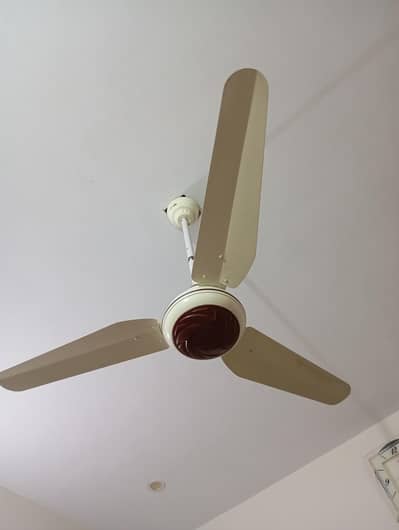 tamoor DC fan just few months used.