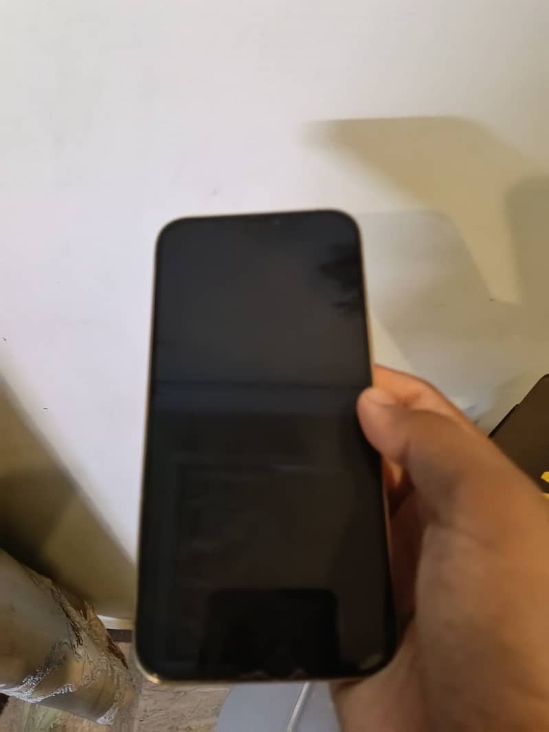 Apple iPhone 12 Pro Max 1