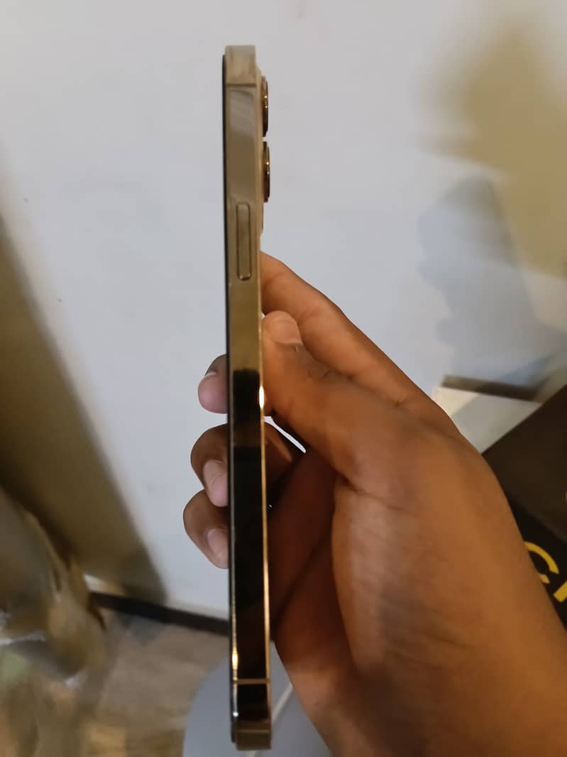 Apple iPhone 12 Pro Max 2