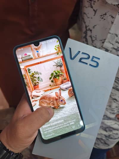 Vivo V25