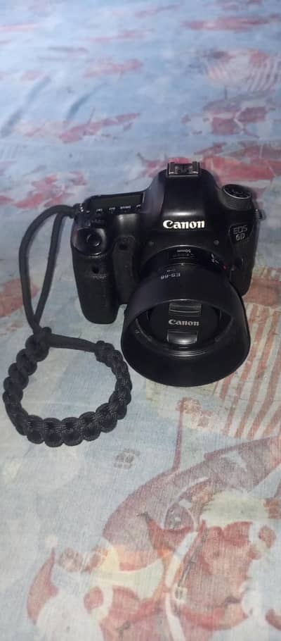 Canan 6d full frame