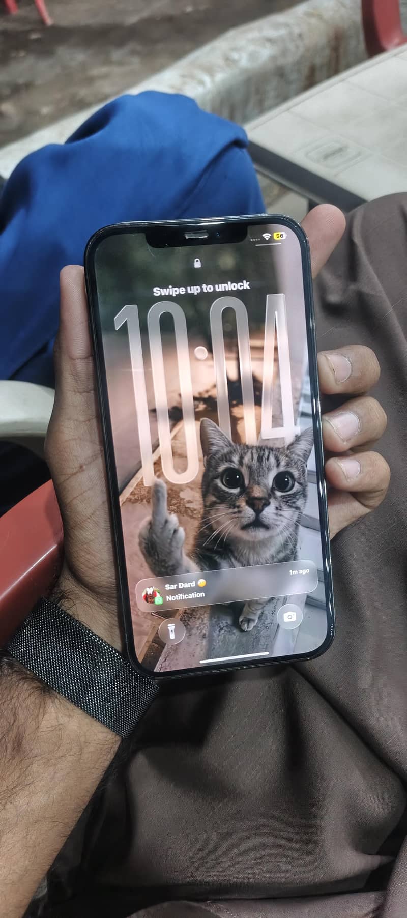 Apple iPhone 12 Pro Max 1