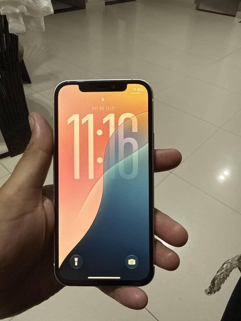 Apple iPhone 12 0