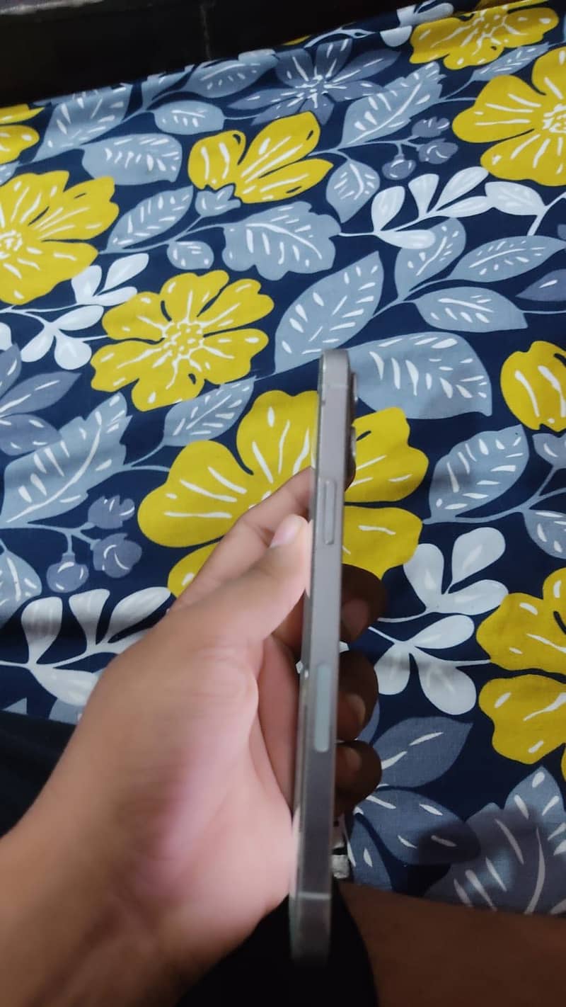 Iphone 12 pro max 1