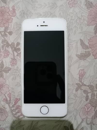 Apple iPhone 5s