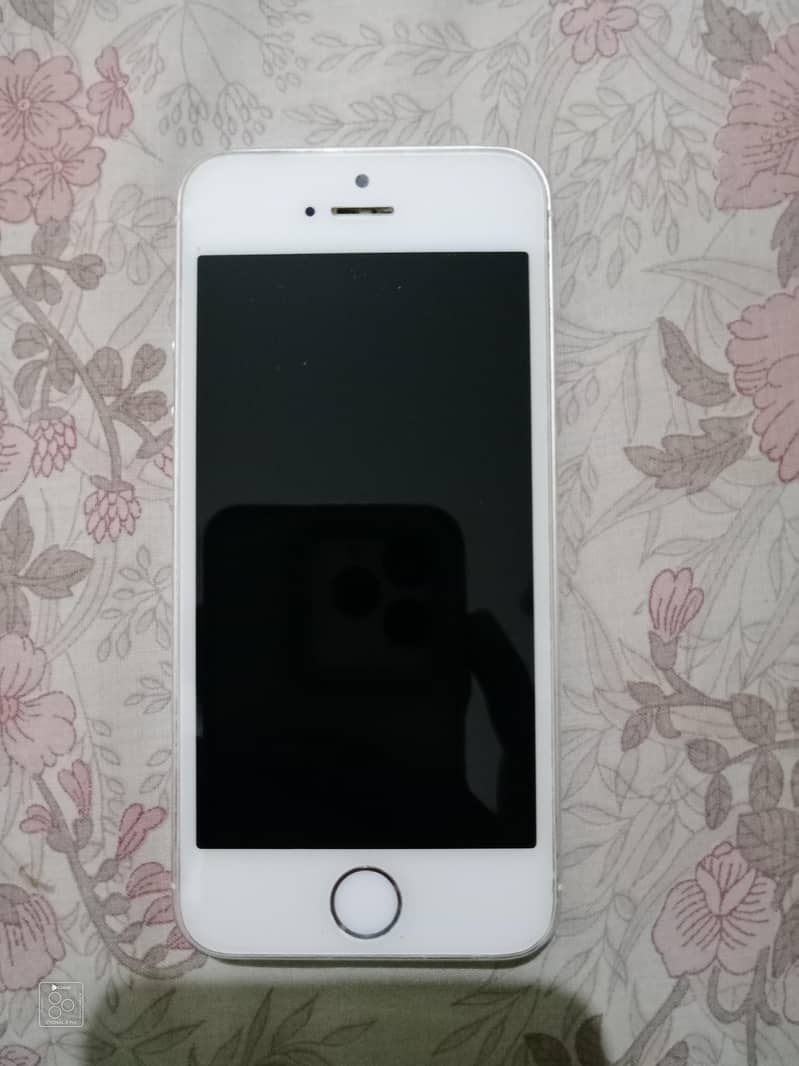 Apple iPhone 5s 0