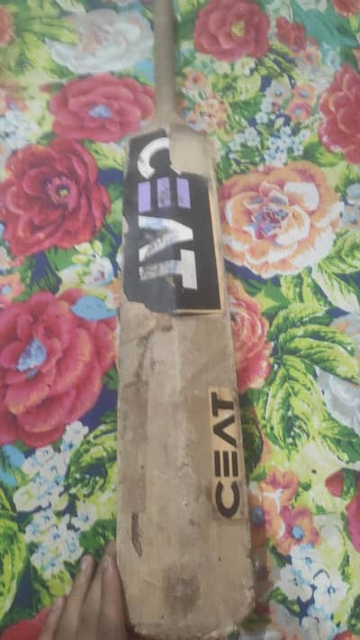 ceat hard ball bat - Cricket Equipment - 1120542777
