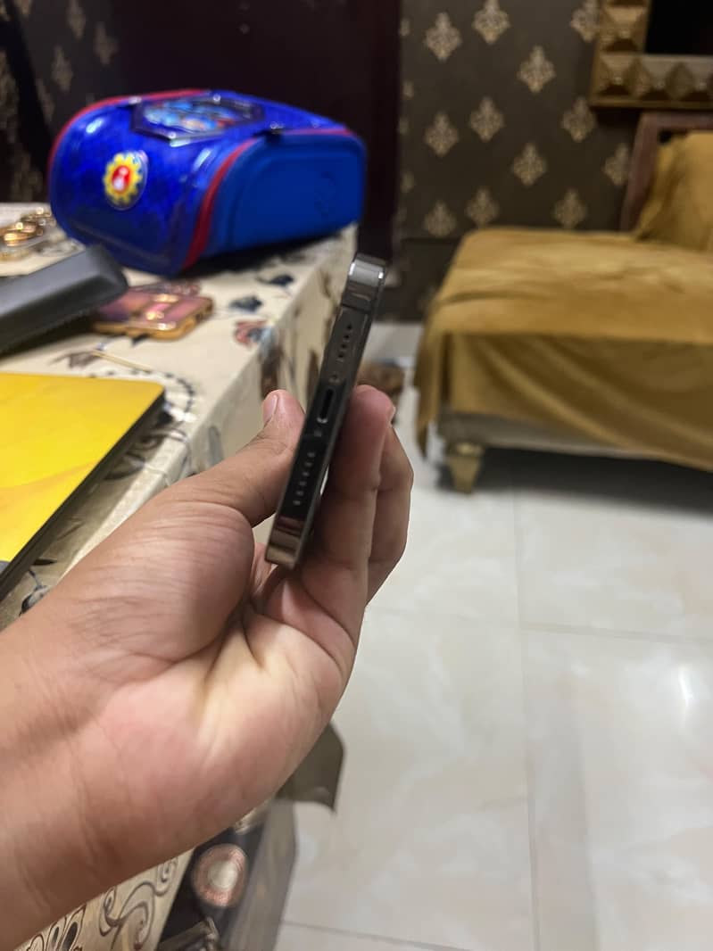 Apple iPhone 13 Pro Max 1