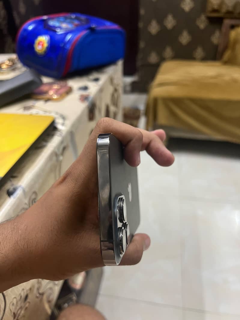 Apple iPhone 13 Pro Max 6