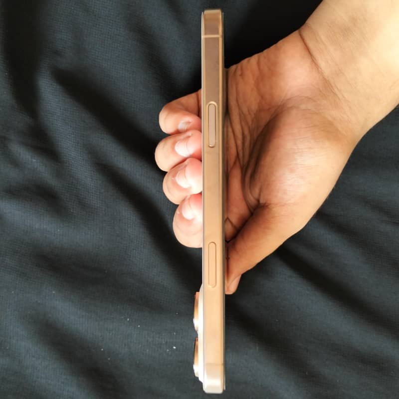 Apple iPhone 16 Pro Max 3