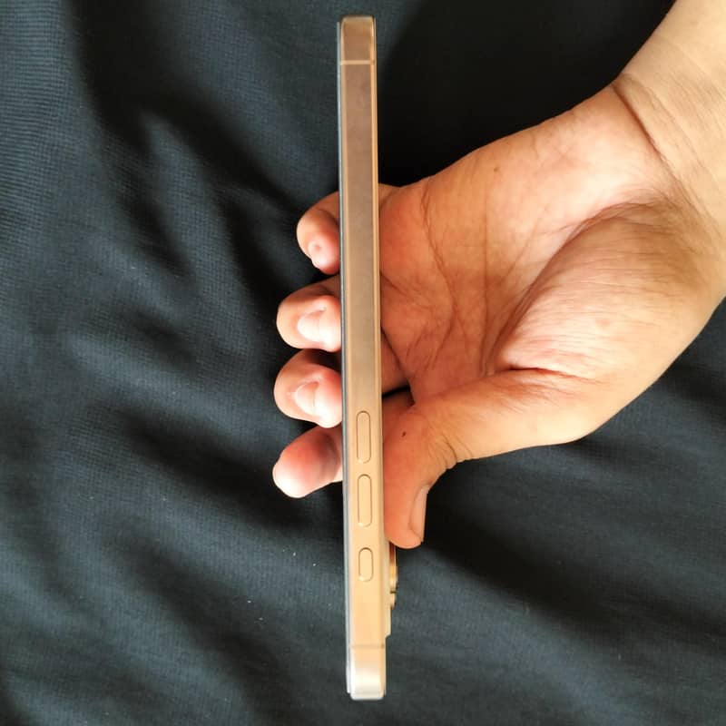 Apple iPhone 16 Pro Max 4